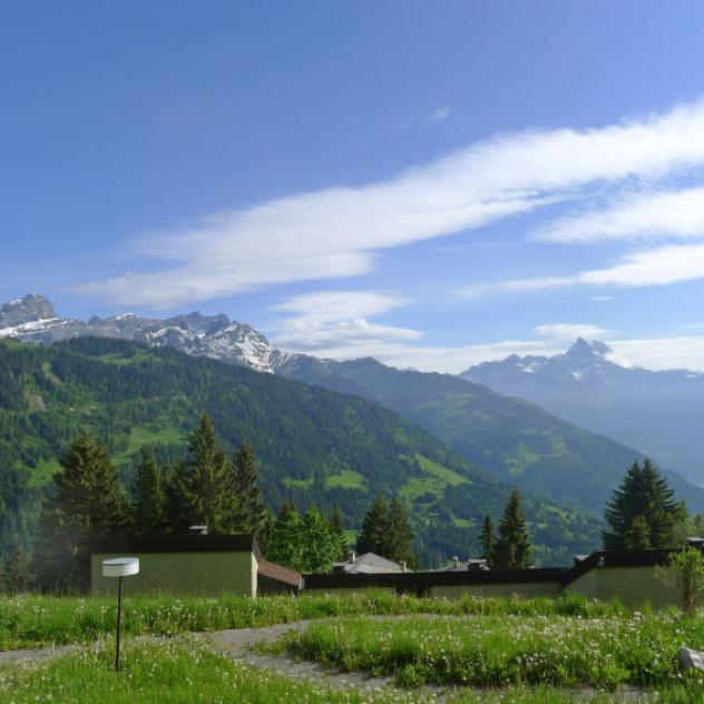 Bus 165 Gryon - Barboleuse - Alpe des Chaux