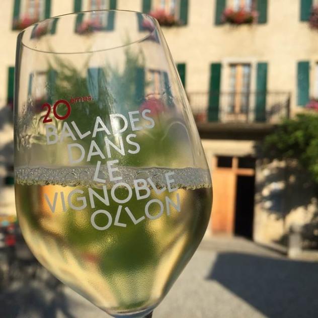 Tour of the vineyards of Ollon - 28th édition