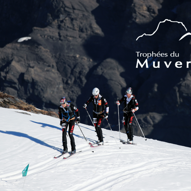 Les Trophées du Muveran