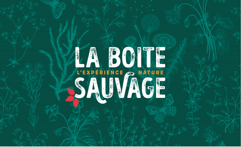 La Boîte Sauvage