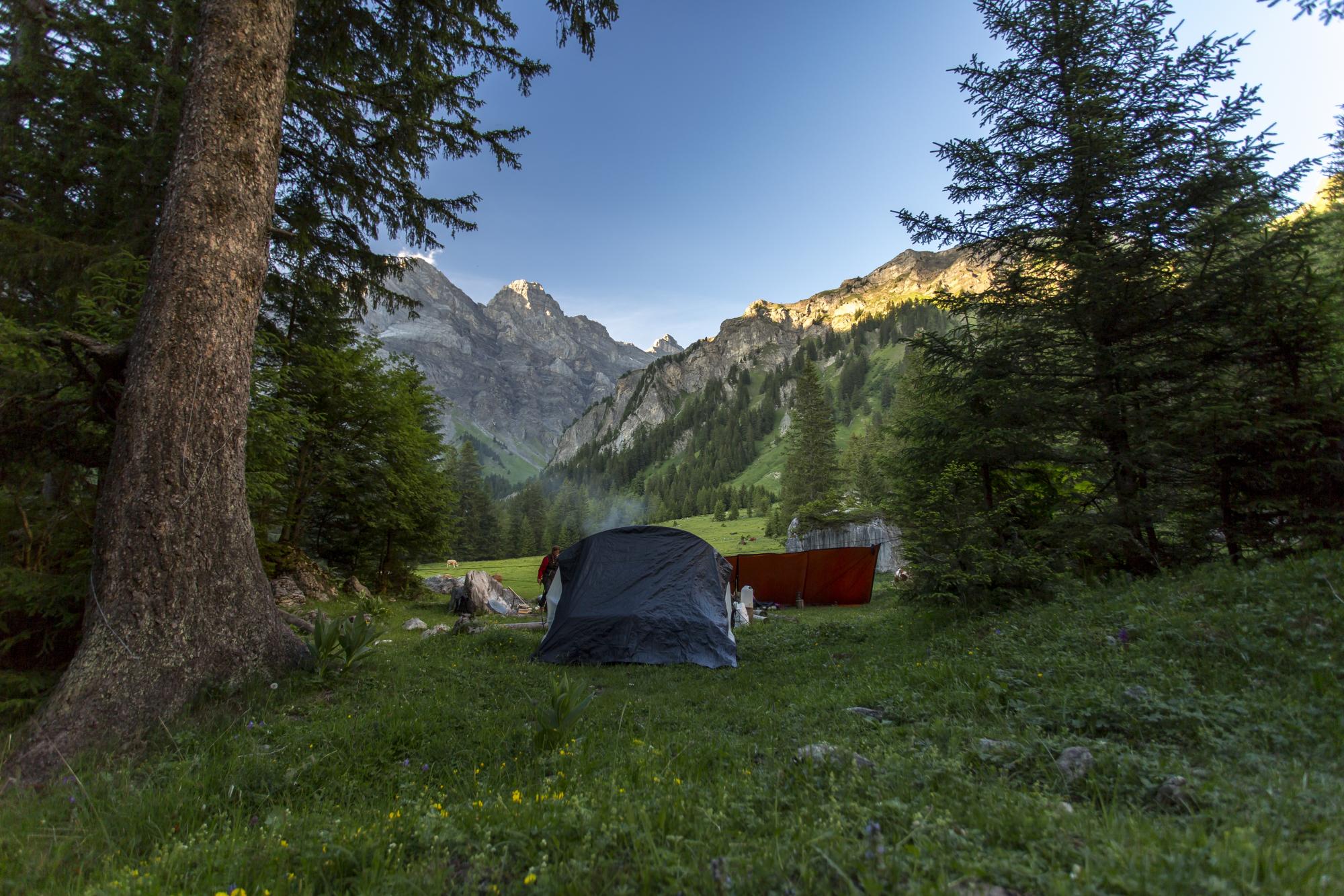 www.olivierfatzer.ch