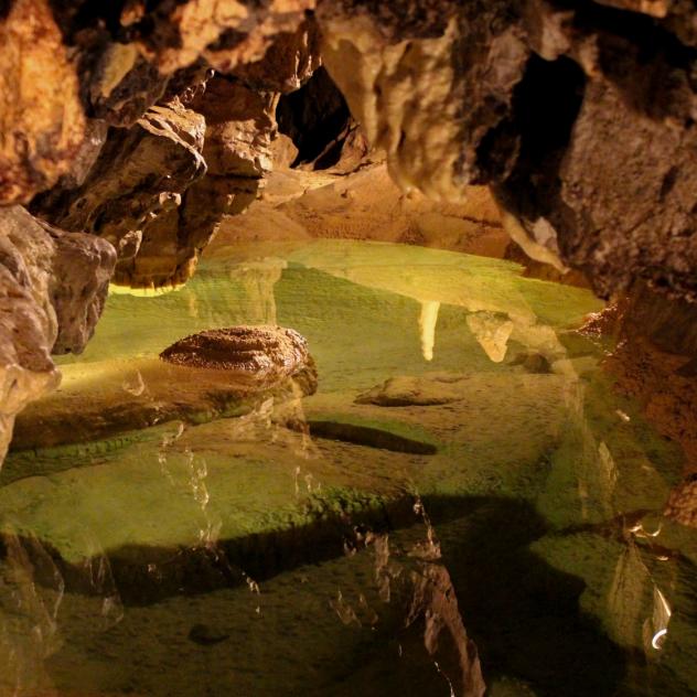 Les Grottes de Vallorbe