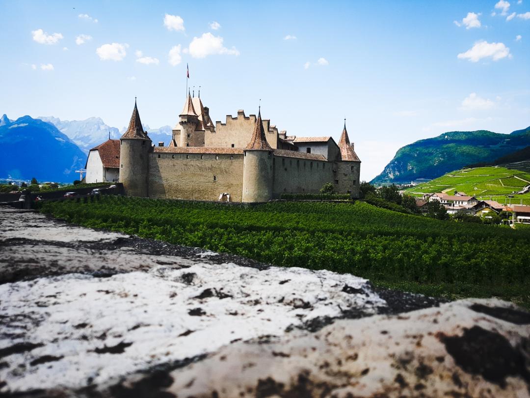 20% | Château d'Aigle