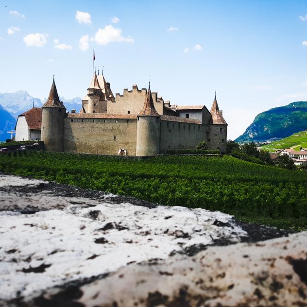 Château d’Aigle et son musée de la vigne du vin et de l'étiquette