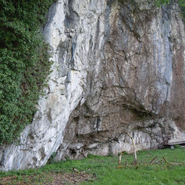 The rock shelter
