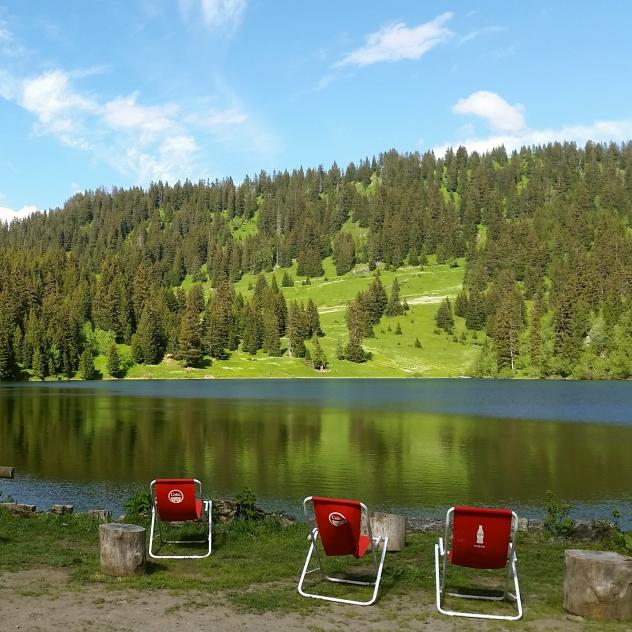 © Télé Villars-Gryon-Diablerets