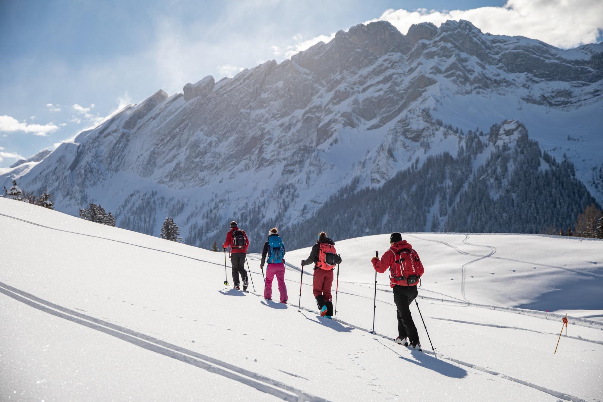 Ski touring in Gryon