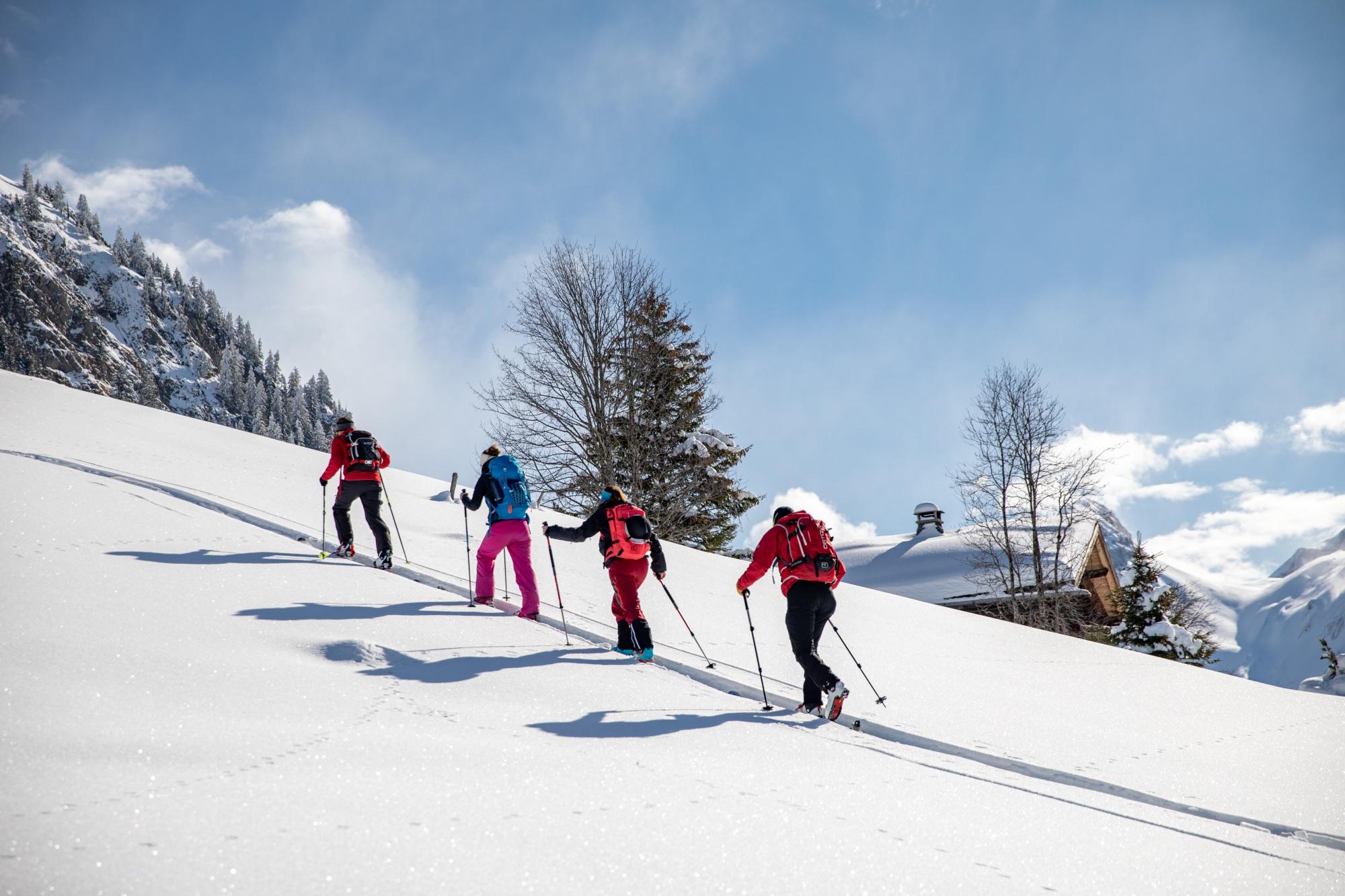 Parcours et pistes balisés 