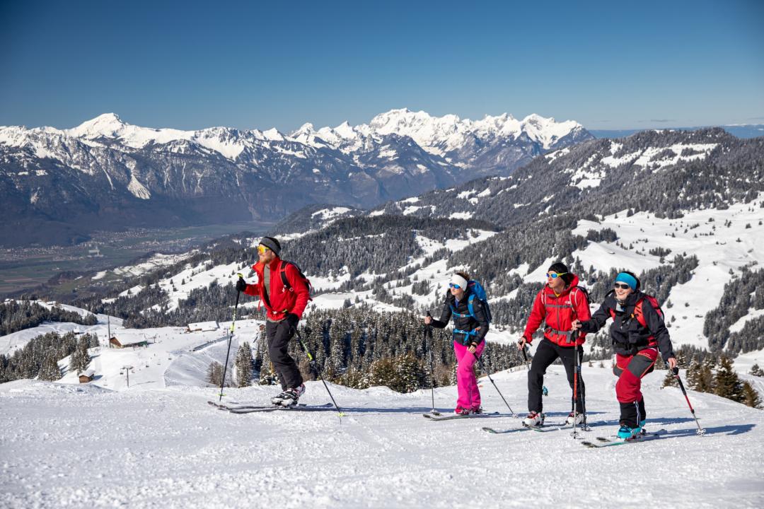 Ski touring