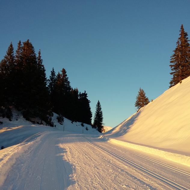 Rochegrises - Col de la Croix
