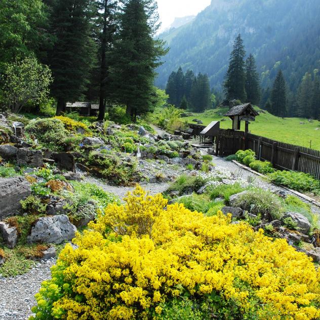 Musée et jardins botaniques cantonaux vaudois