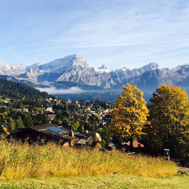 Les Bouquetins - La Truche - Villars