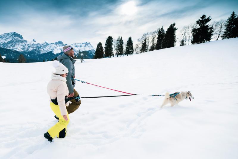 Husky-Rando (Membre à Villars)