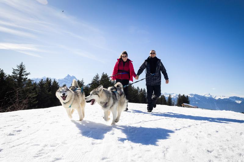 Husky-Rando (Membre à Villars)