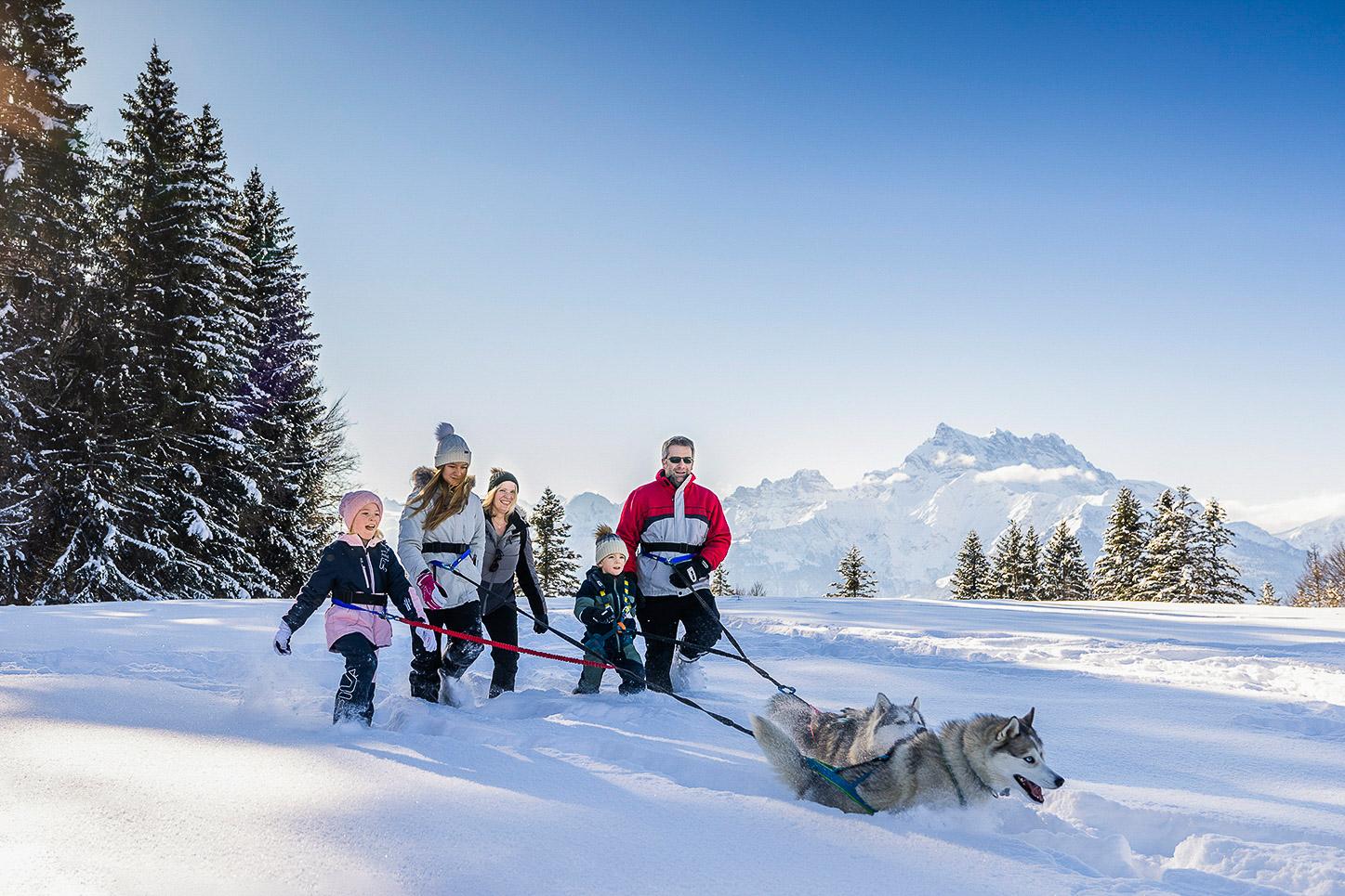 Spaziergang mit den Polarhunden in Villars