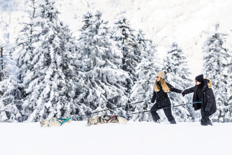 Husky-Rando (Membre à Villars)