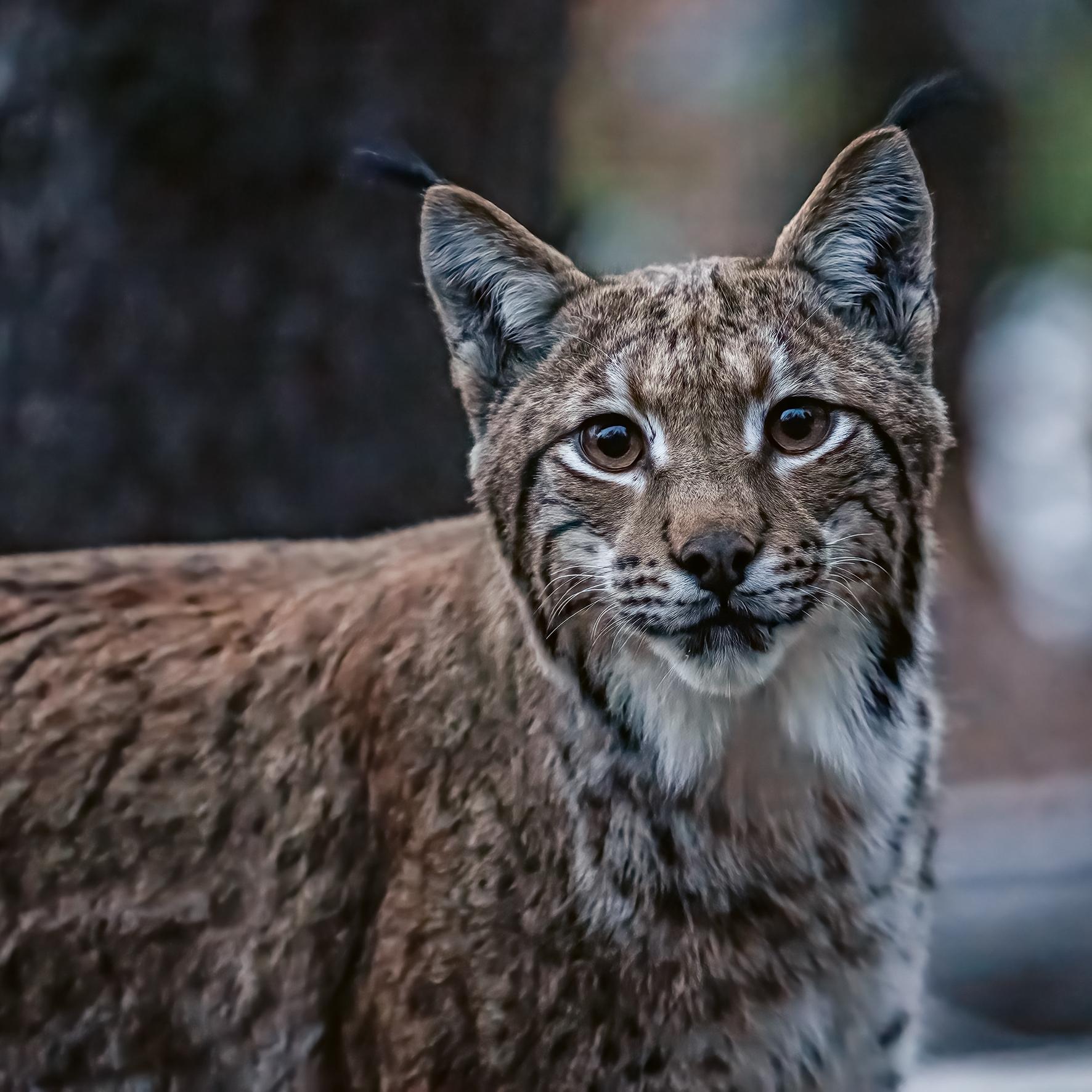 Antoine Rezer's nature photo exhibition