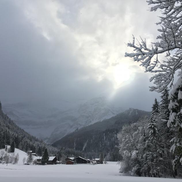 Les Diablerets - Le Rachy