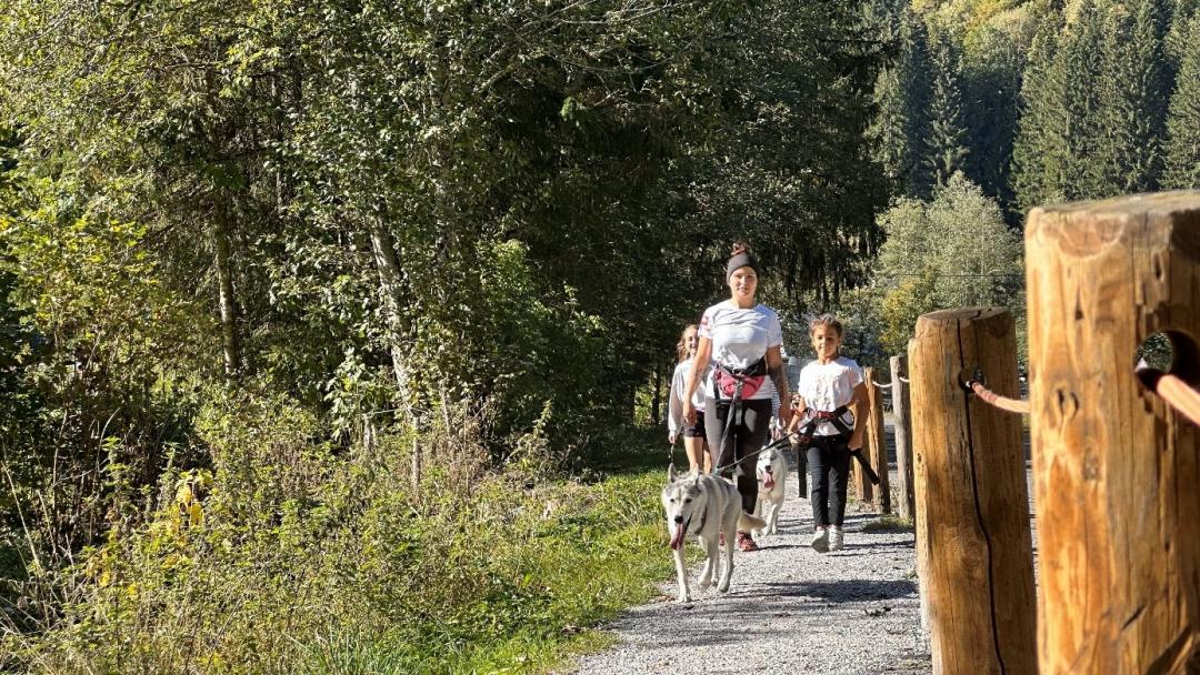 Cani-randonnée "découverte" à Villars avec Alpes'Huskies