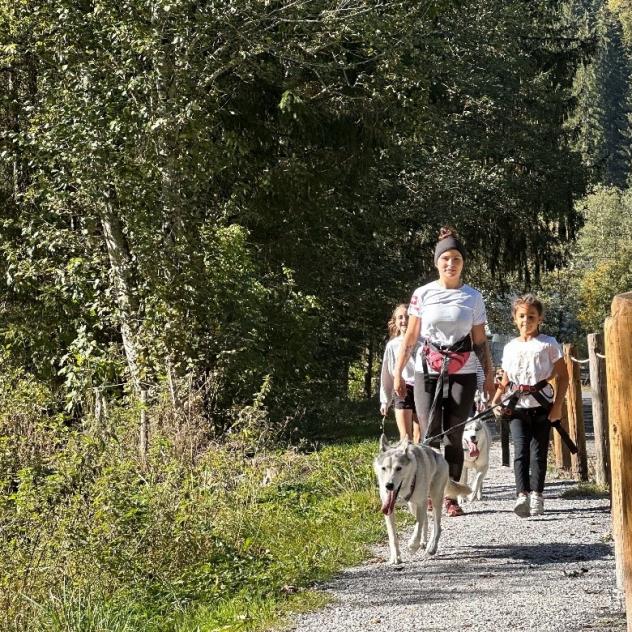 Cani-randonnée "découverte" à Villars avec Alpes'Huskies