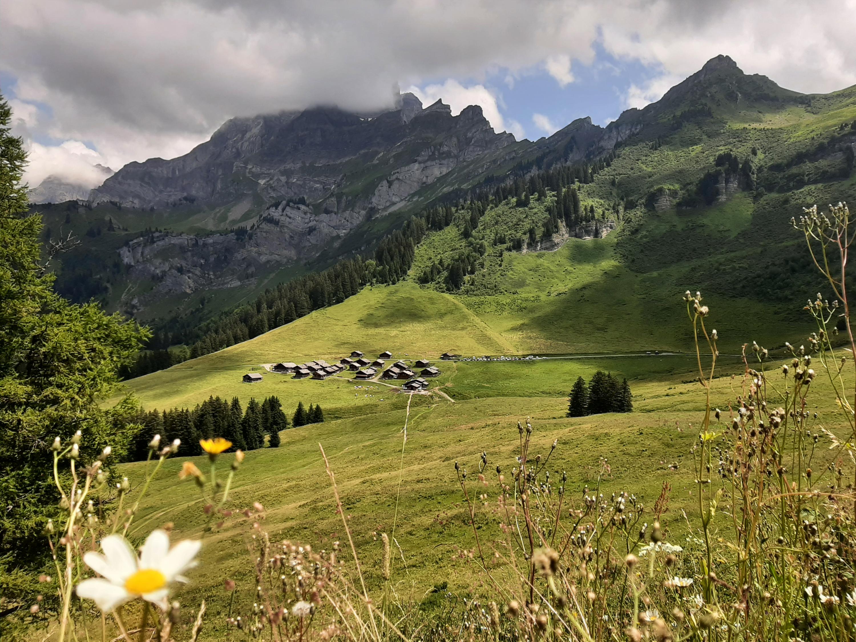 Top lieux à voir en randonnée à Gryon