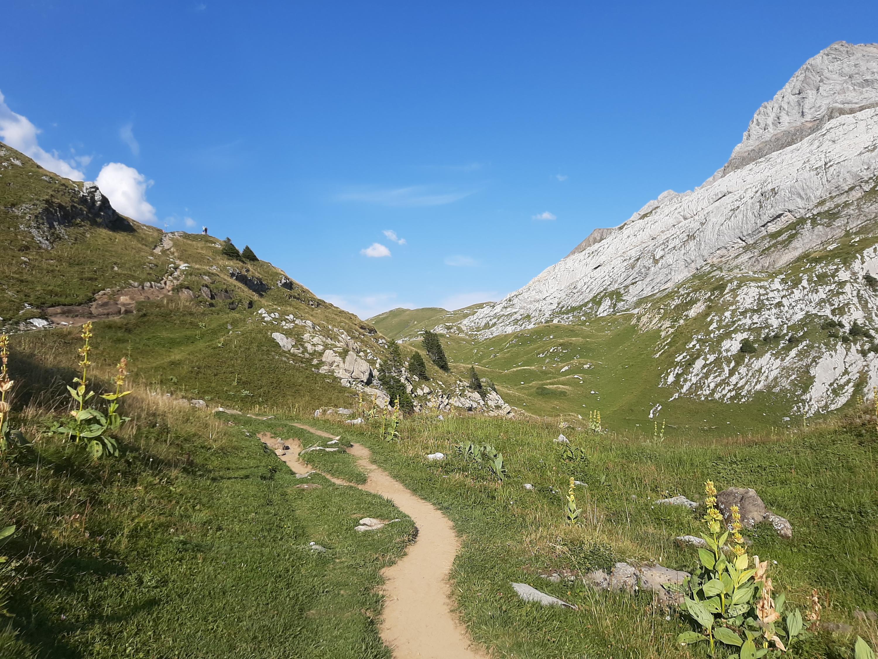 Sommerliche Wanderwege in Gryon