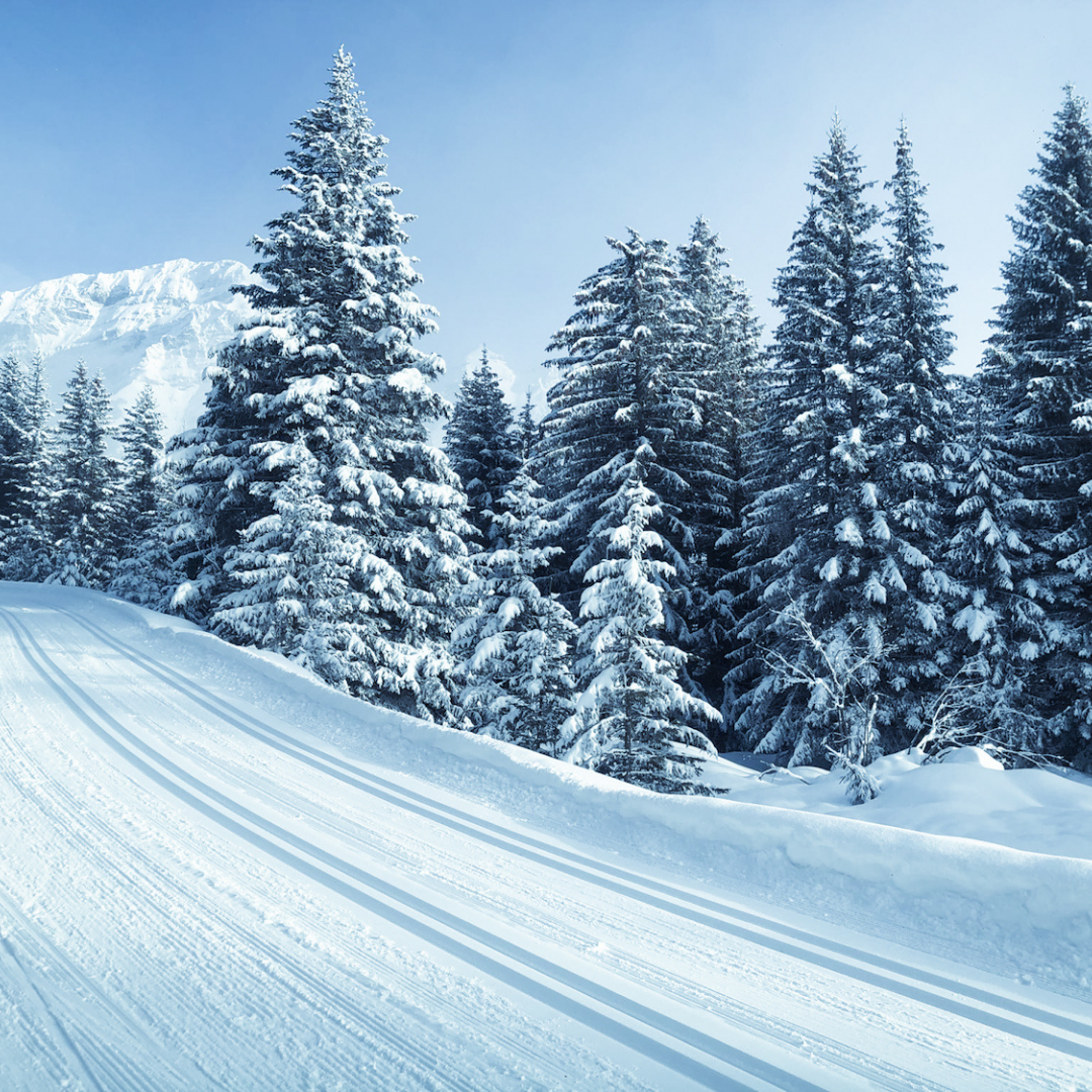 Cross-country skiing in Gryon