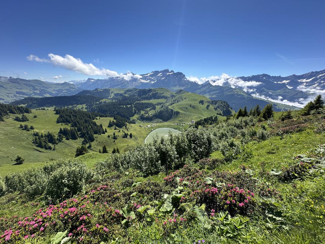 Why the Alpes Vaudoises? 