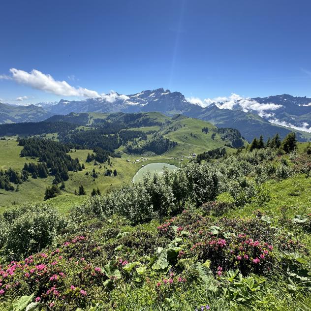 Why the Alpes Vaudoises? 