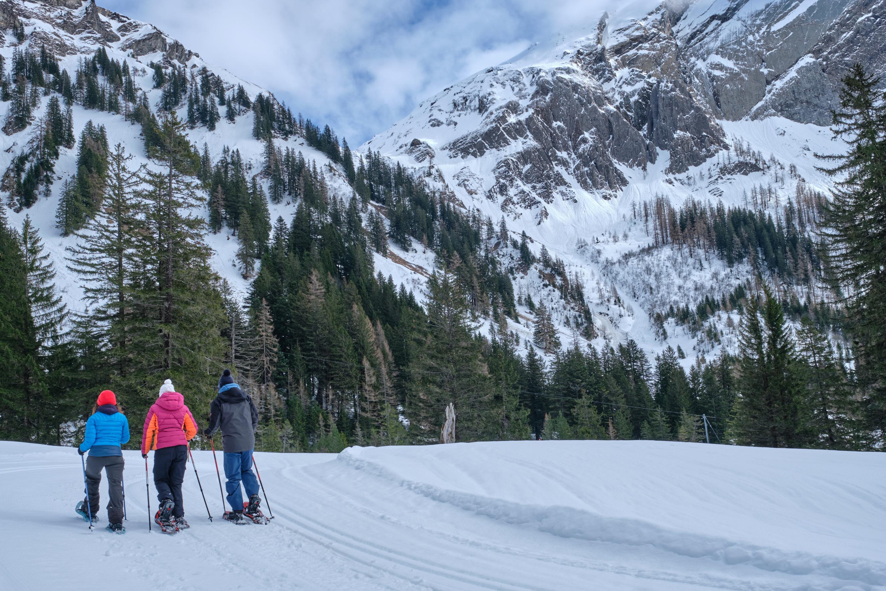 Snowshoeing routes in Bex