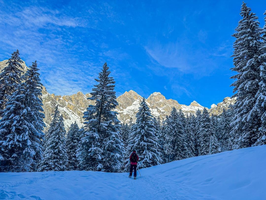 Ein zeitloses Naturgebiet