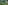 Image requests
