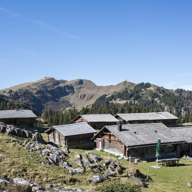 Conche Alpine Pastures