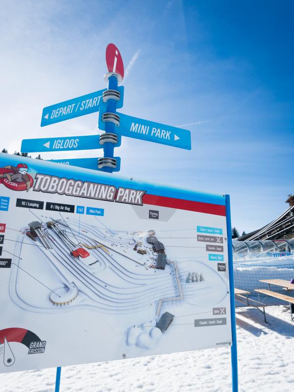 Tobogganing Park