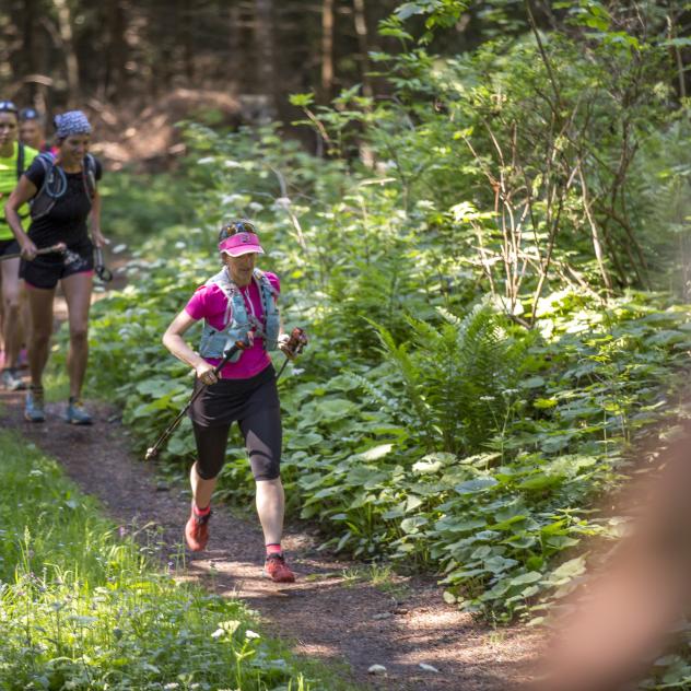 Trail du renardeau