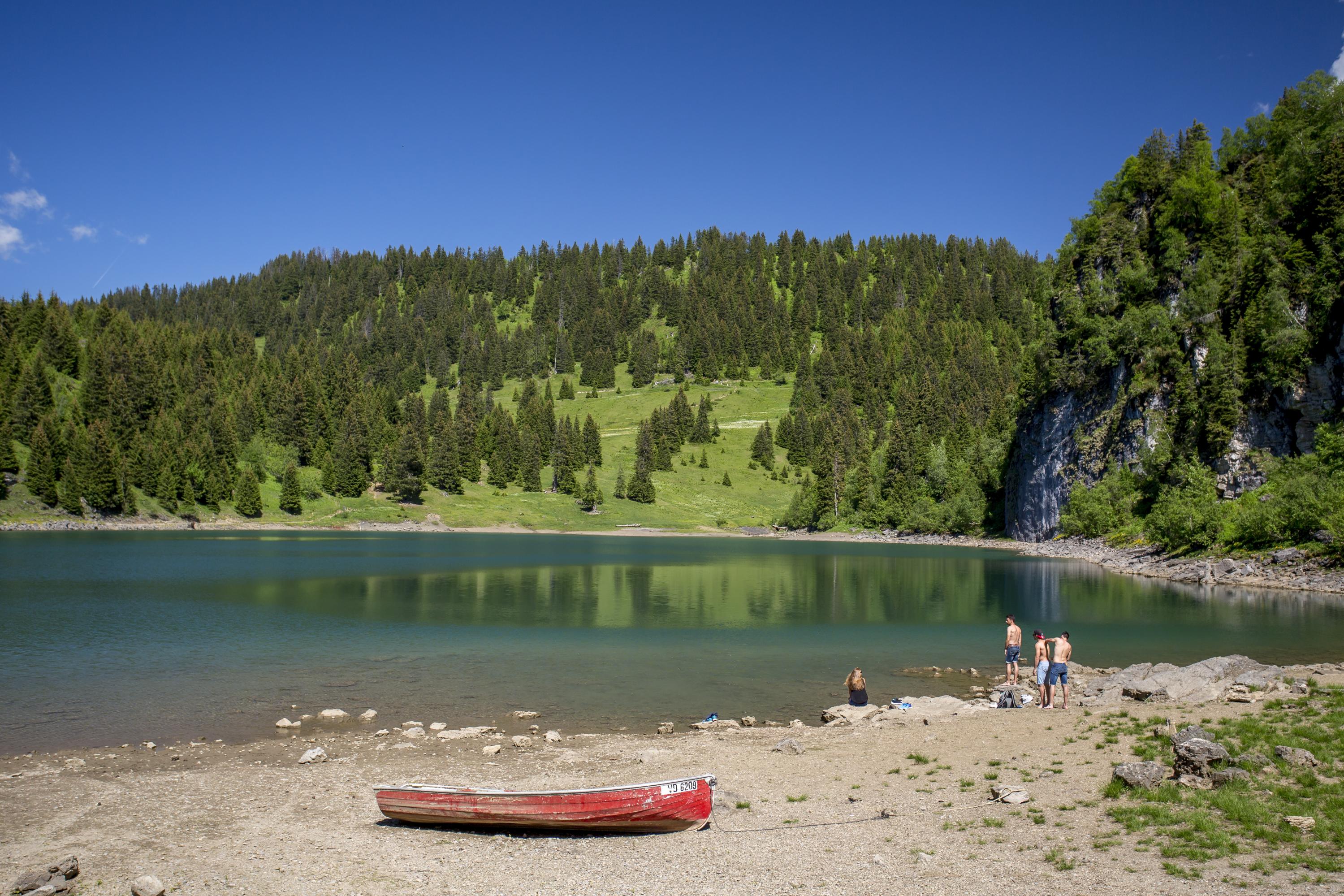 Premium Photo | Lake lac des chavonnes in switzerland surrounded by the mountains and trees