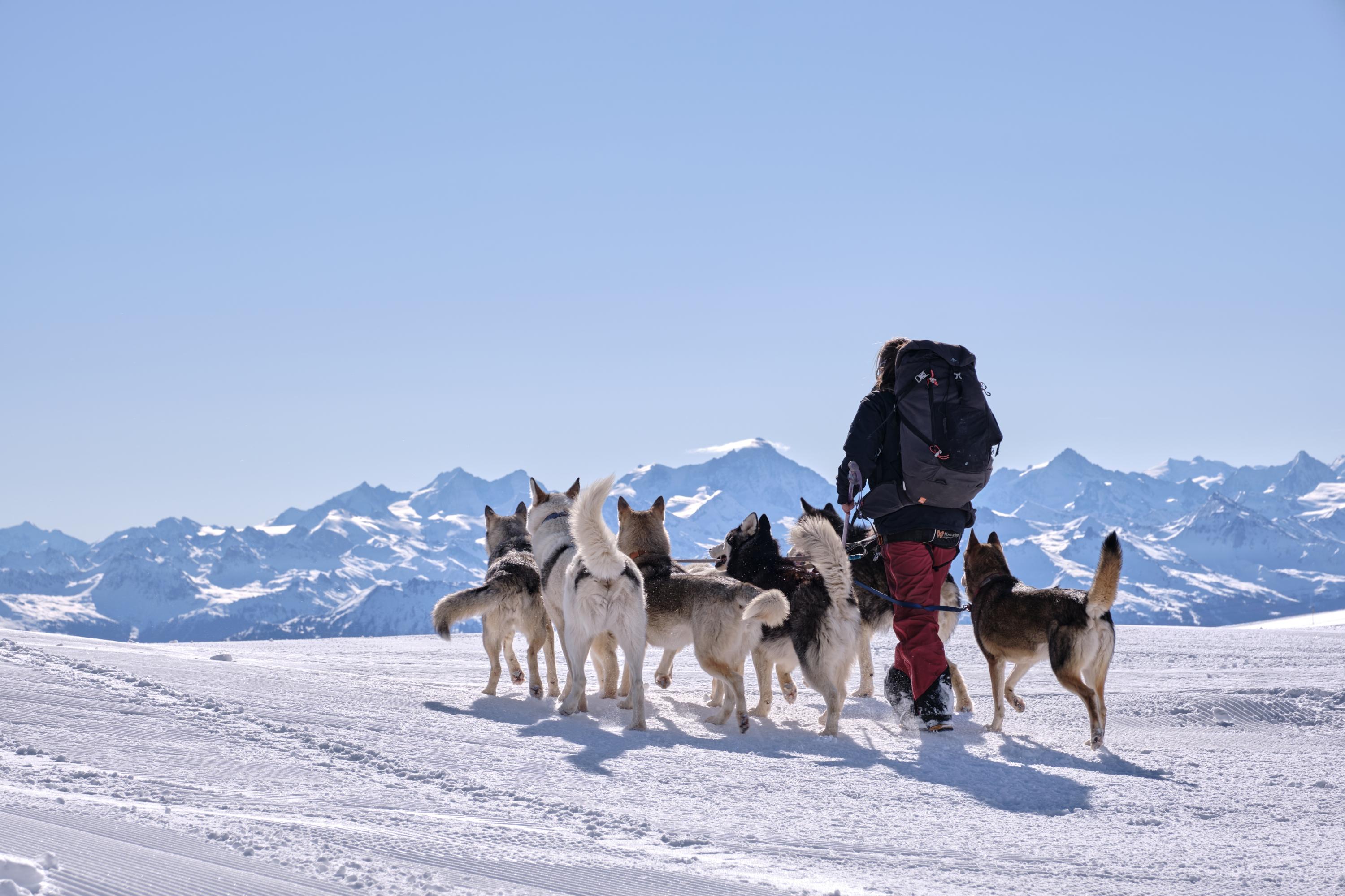 Musher at Glacier 3000