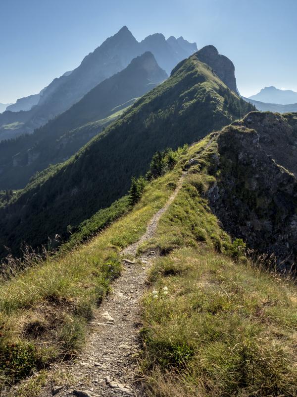 Summer hikes