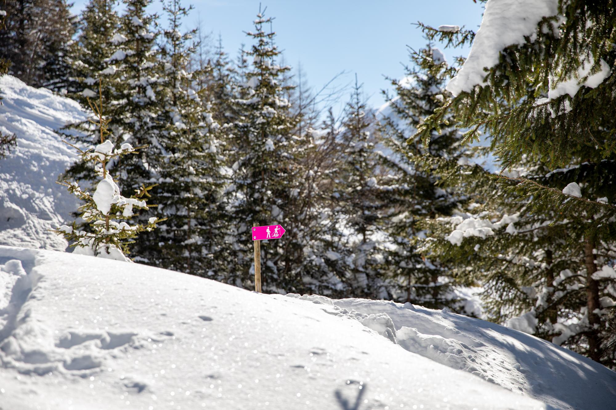 All winter hiking routes in Gryon