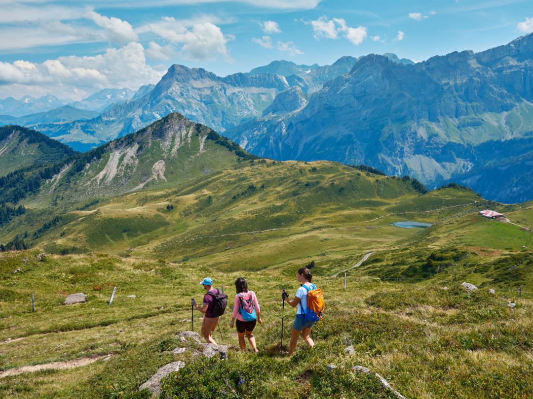 Unumgängliche Wanderungen