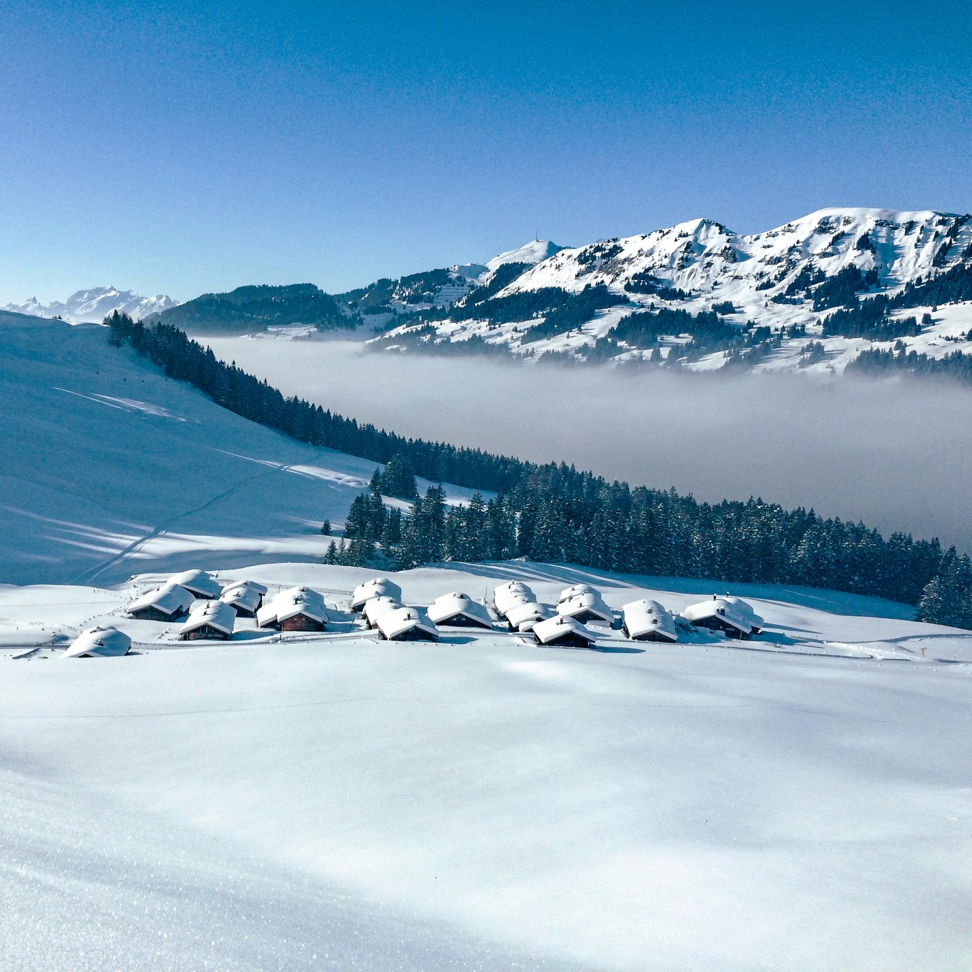 Gratuité des transports publics