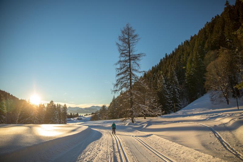 Cross-country skiing