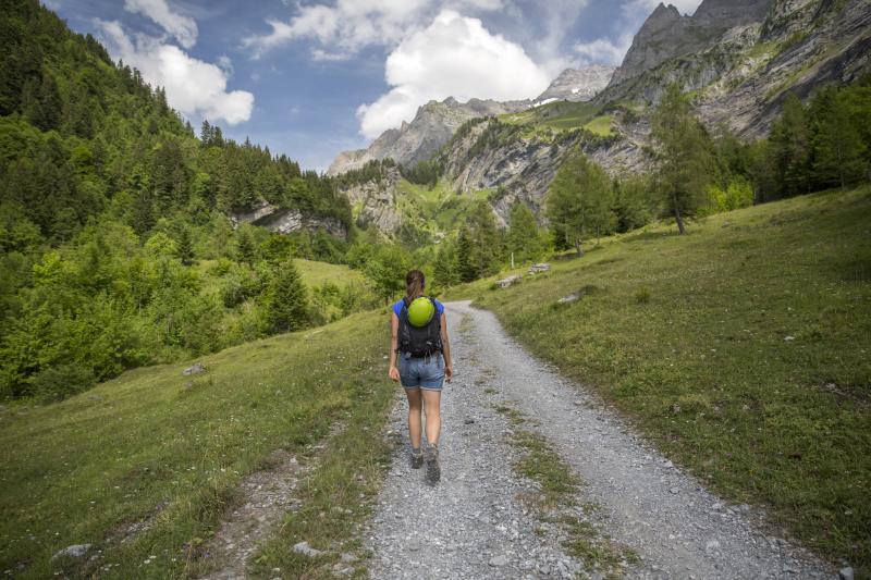 Summer hikes