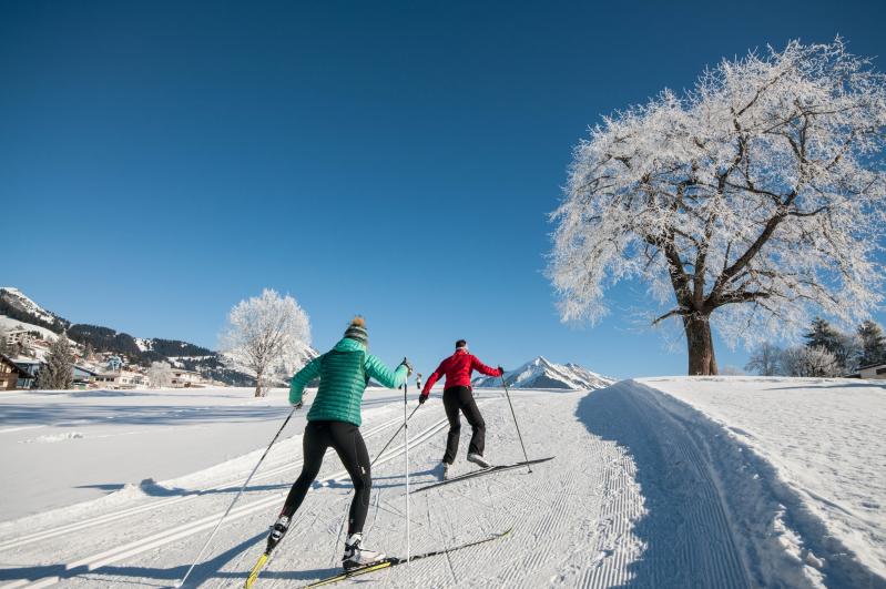 Cross-country skiing