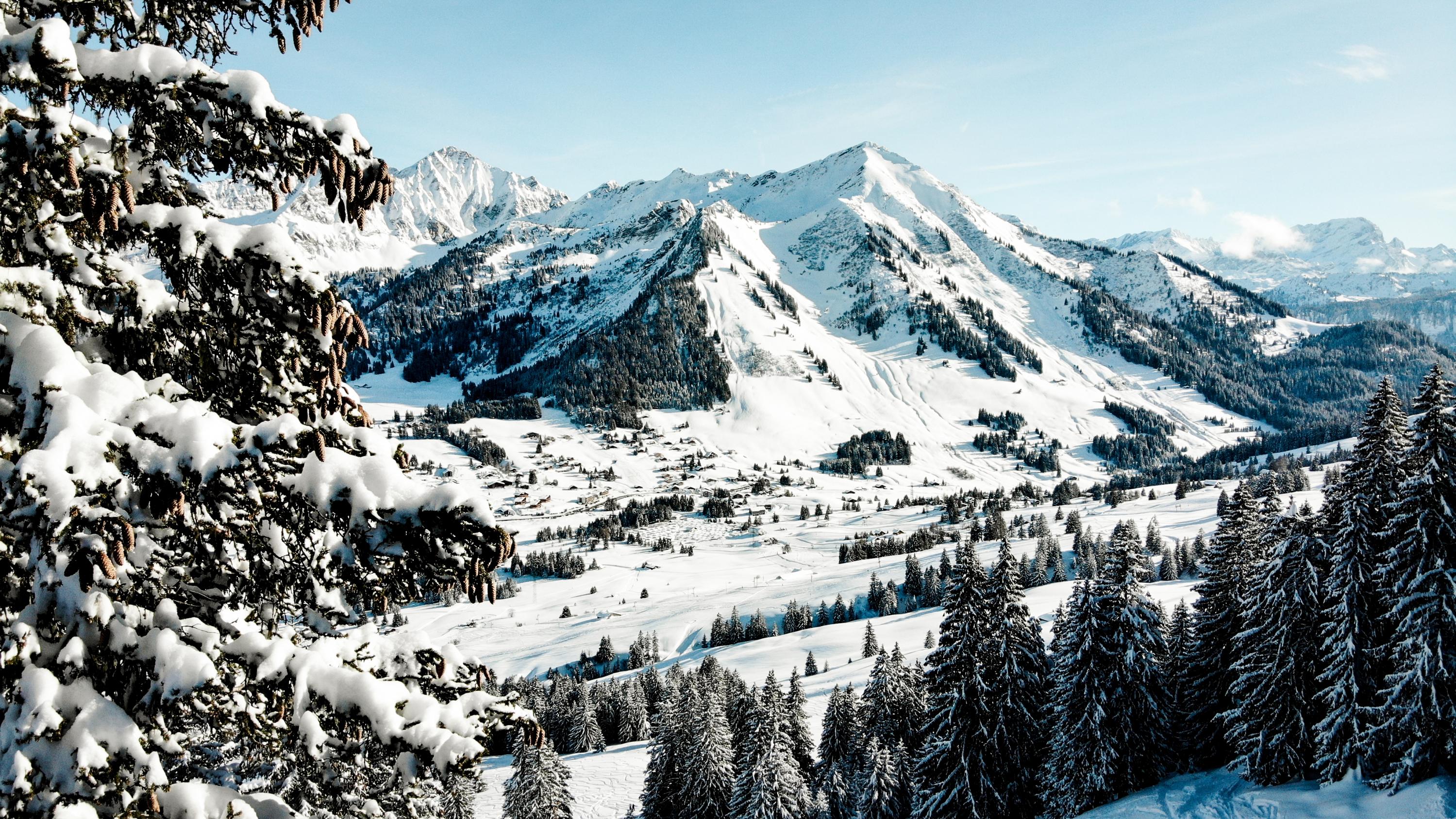 Webcams at Col des Mosses