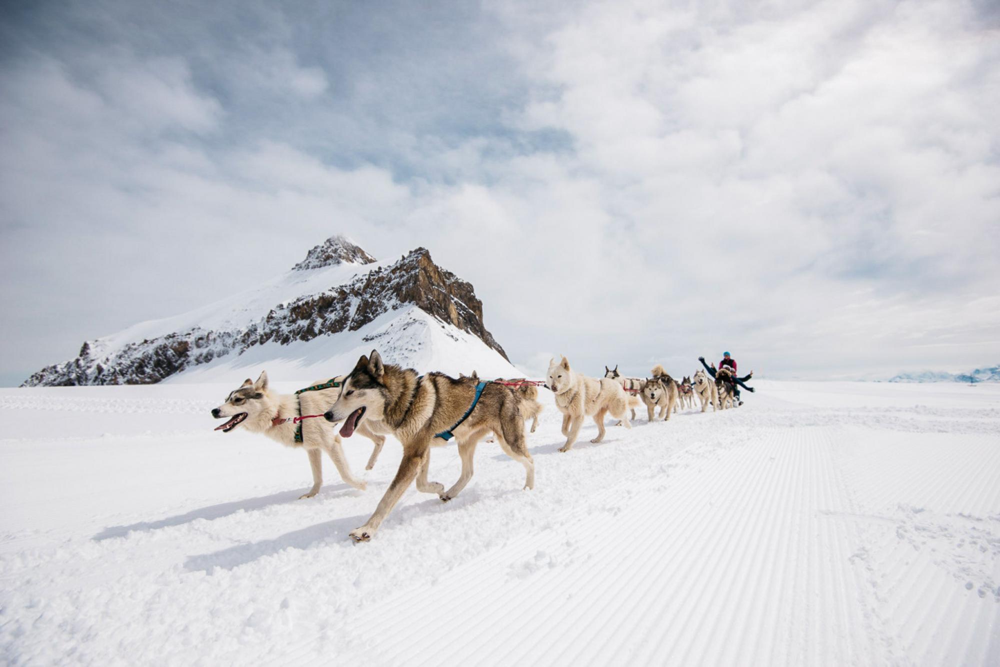 av-hivernal-header_2000.jpg