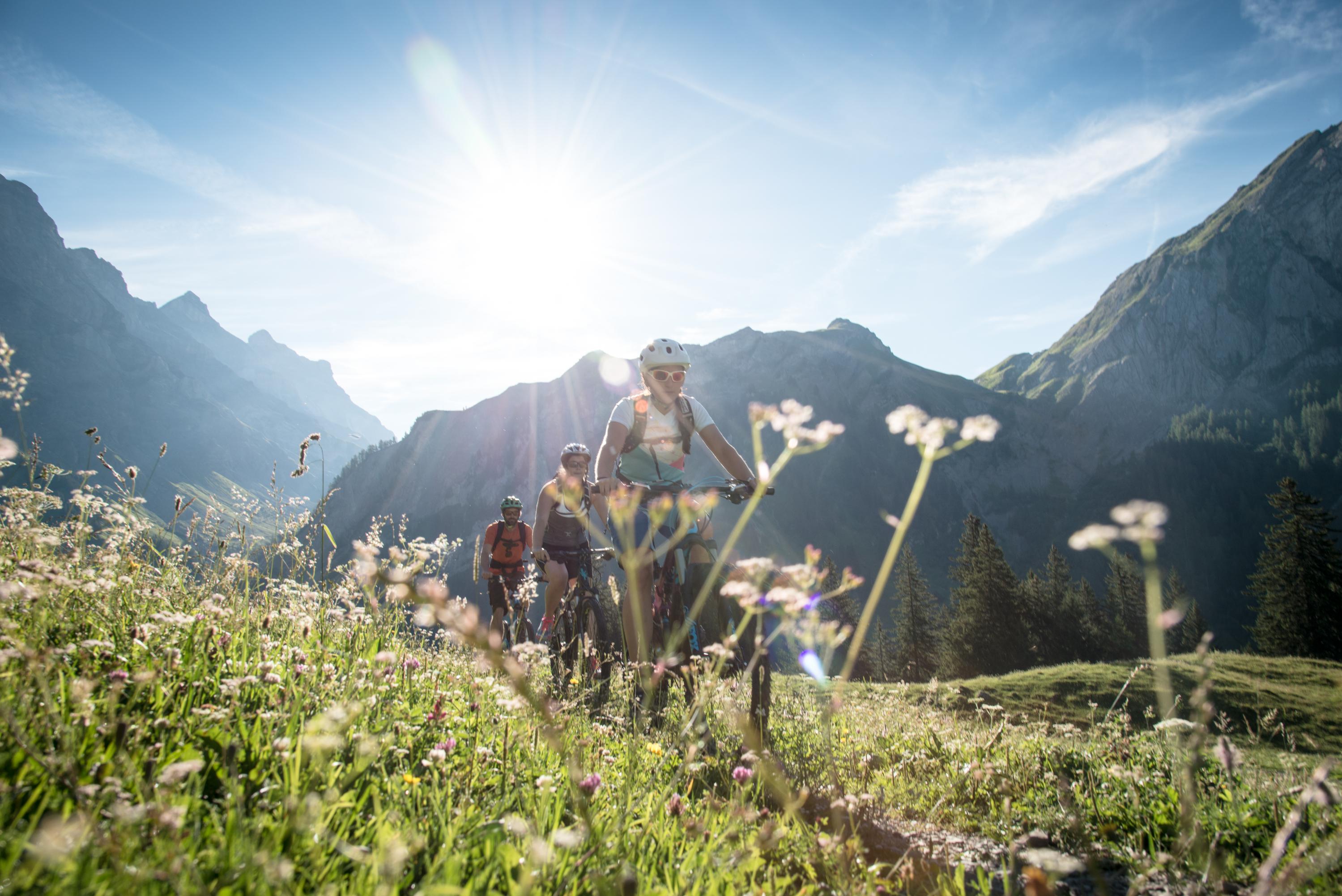 Mountain bike routes in Gryon