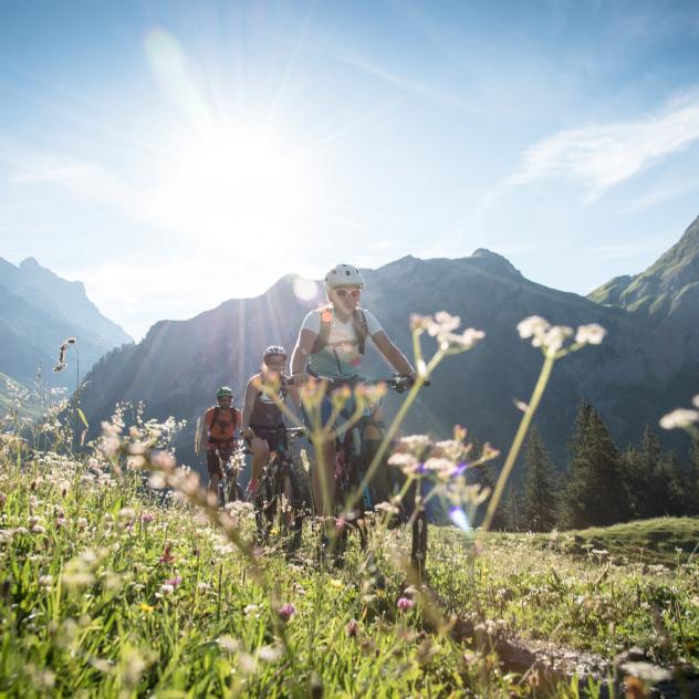 Les itinéraires de VTT à Gryon