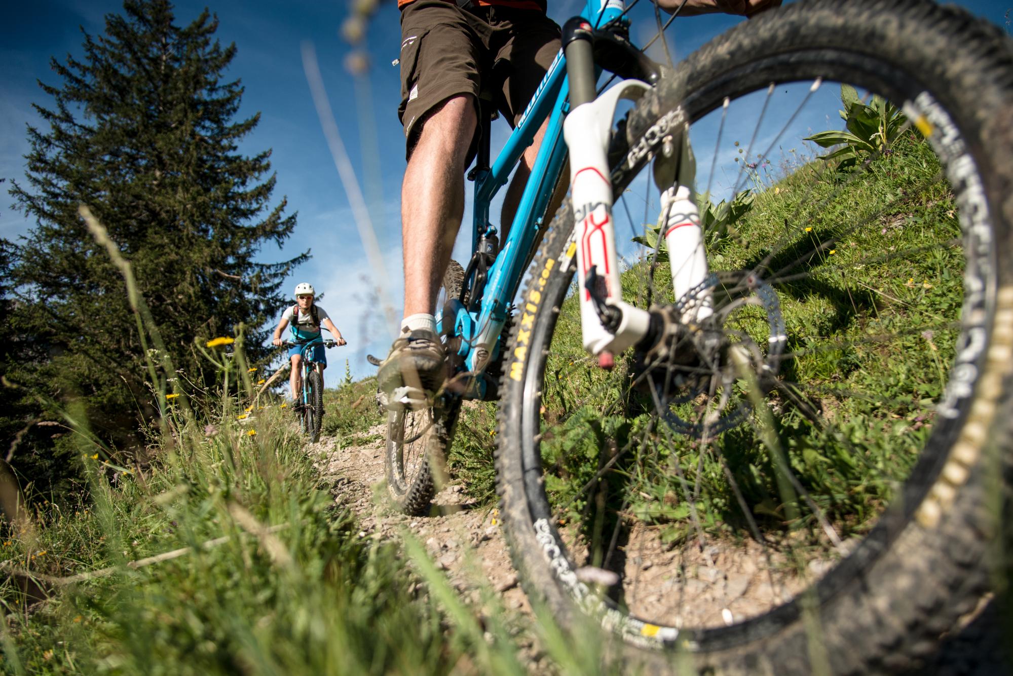 Villars-Gryon_VTT