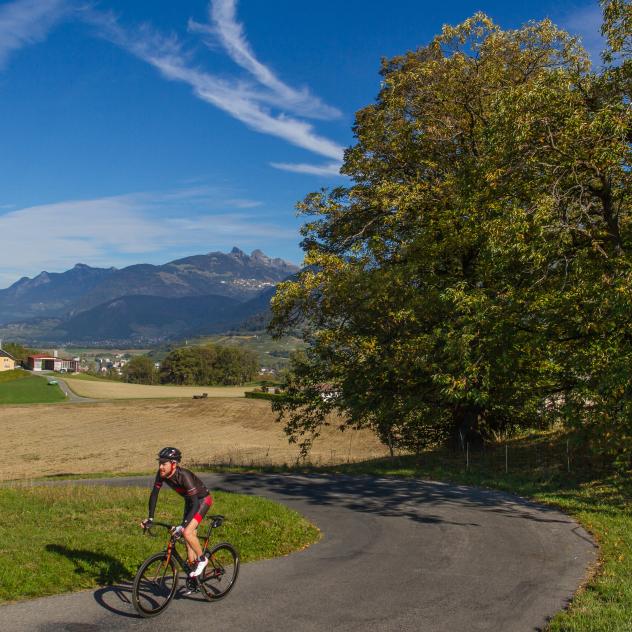 The Chablais Plain